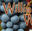 Williams Creek Winery in Mt. Vernon, Missouri